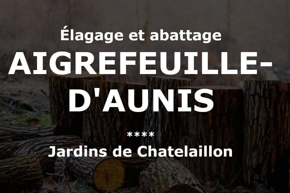 Élagage et abattage d'arbres et pins à Aigrefeuille-d'Aunis