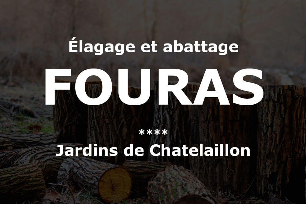 Élagage et abattage d'arbres et pins à Fouras