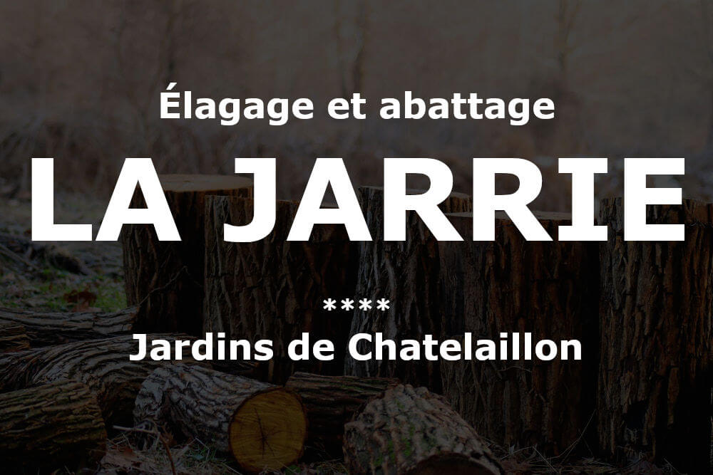 Élagage et abattage d'arbres et pins à La Jarrie