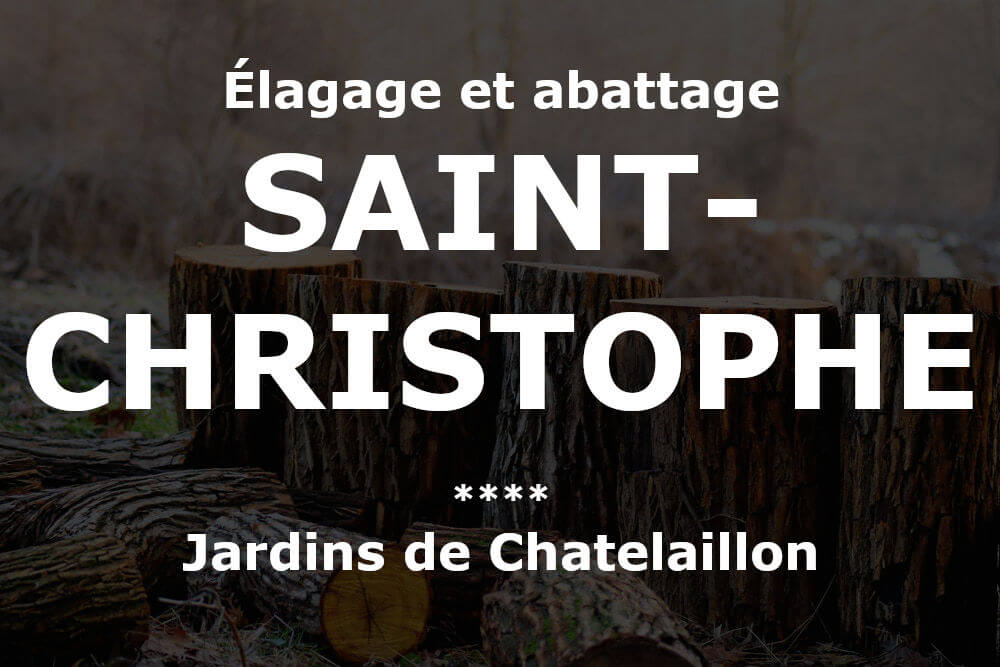 Élagage et abattage d'arbres et pins à Saint-Christophe