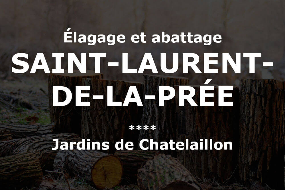 Élagage et abattage d'arbres et pins à saint-laurent-de-la-pree