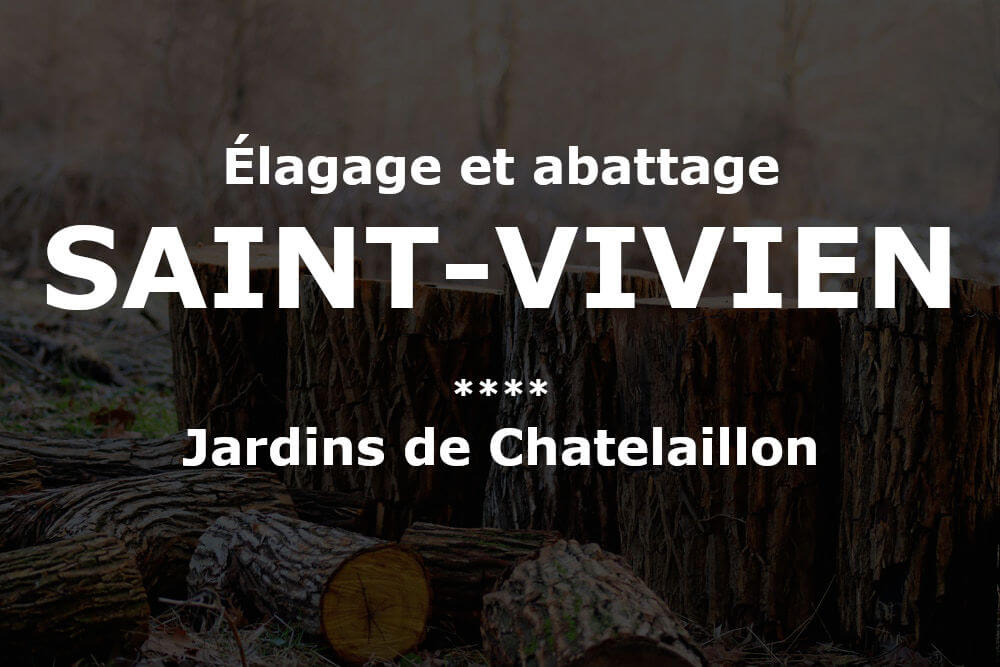 Élagage et abattage d'arbres et pins à Saint-Vivien