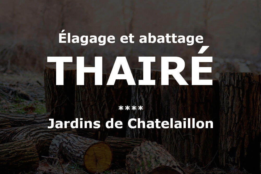 Élagage et abattage d'arbres et pins Thairé