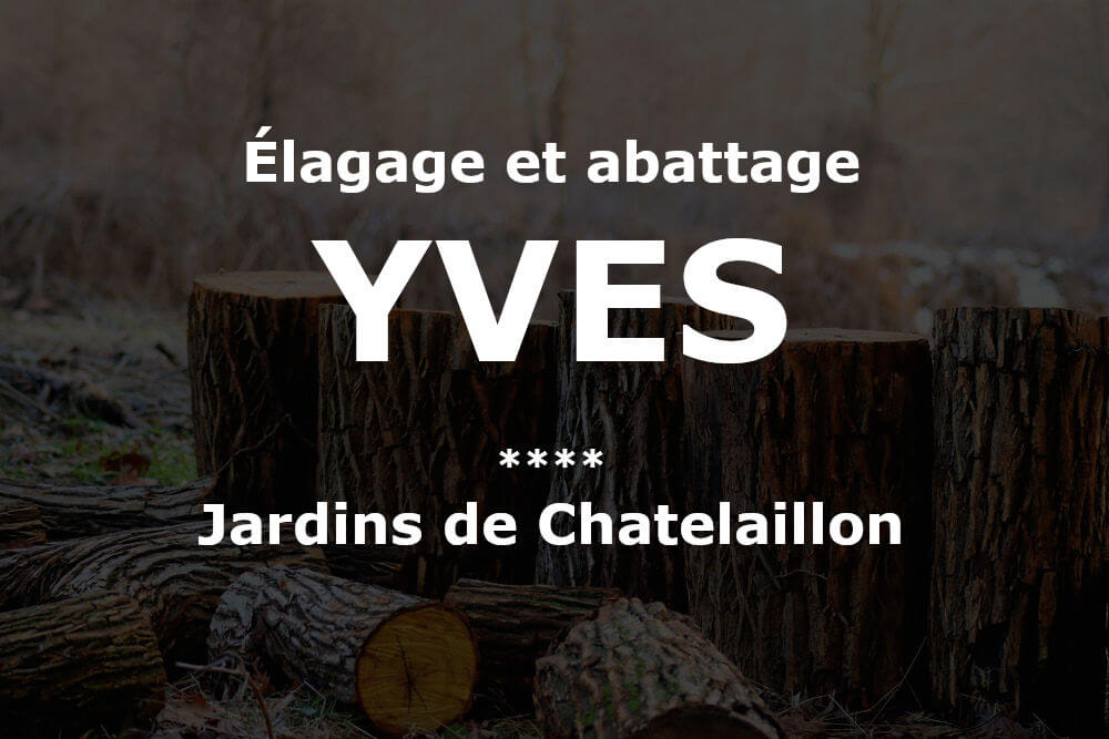 Élagage et abattage d'arbres et pins Yves